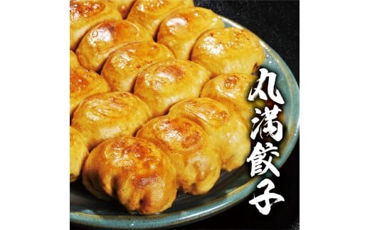 焼餃子三昧セット（C）焼餃子4包み（8人前） ※着日指定不可｜餃子 焼餃子 ぎょうざ ギョウザ マルマン 丸満餃子 名物グルメ ソウルフード ギフト 贈答 贈り物 プレゼント お中元 お歳暮 茨城県 古河市 送料無料 惣菜 おつまみ _CO05