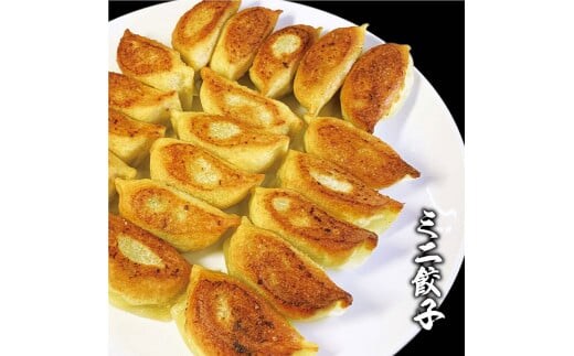 ミニ餃子三昧セット（M6）ミニ餃子3包み（6人前） ※着日指定不可｜ 餃子 焼餃子 ぎょうざ ギョウザ マルマン 丸満餃子 名物グルメ ソウルフード ギフト 贈答 贈り物 プレゼント お中元 お歳暮 茨城県 古河市 送料無料 _CO15