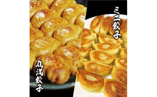 焼餃子ミニセット（MM）焼餃子5包み（10人前）・ミニ餃子5包み（10人前） ※着日指定不可｜ 餃子 焼餃子 ぎょうざ ギョウザ マルマン 丸満餃子 名物グルメ ソウルフード ギフト 贈答 贈り物 プレゼント お中元 お歳暮 茨城県 古河市 送料無料 _CO18