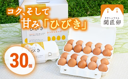 関匠卵 ひびき30個 | 卵 30個 赤玉 玉子 たまご タマゴ 生卵 鶏卵 生みたて 産みたて 新鮮 濃厚 健康 TKG たまごかけごはん ご飯のお供 国産 ギフト 贈答 贈り物 お中元 お歳暮 プレゼント 茨城県 古河市 直送 農家直送 産地直送 ※北海道・沖縄・離島への配送不可 _CP01