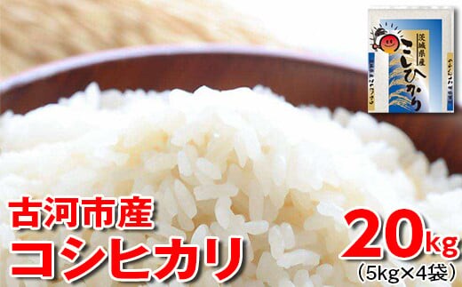【新米】令和7年産 古河市産 コシヒカリ 20kg（5kg×4袋）| 米 こめ コメ 20キロ 精米 こしひかり 単一米 国産 古河市産 茨城県産 贈答 贈り物 プレゼント 茨城県 古河市 直送 農家直送 産地直送 送料無料 ※2025年9月上旬頃より順次発送予定 _DP24