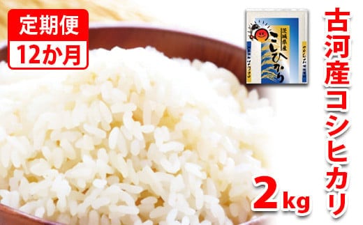 【定期便 12か月】【新米】令和7年産 古河市産コシヒカリ 2kg | 米 こめ コメ こしひかり 単一米 国産 2キロ 定期便 こしひかり コシヒカリ 古河市産 茨城県産 贈答 贈り物 プレゼント 茨城県 古河市 直送 産地直送 送料無料 _DP30