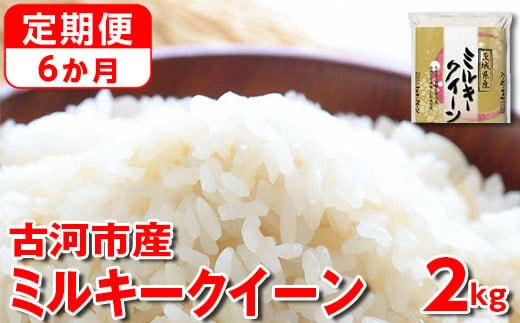 【定期便 6か月】【新米】令和7年産 古河市産ミルキークイーン 2kg ｜ 米 こめ コメ 2キロ 定期便 精米 みるきーくいーん ミルキー 単一米 国産 古河市産 茨城県産 贈答 贈り物 プレゼント 茨城県 古河市 直送 農家直送 産地直送 送料無料 _DP32