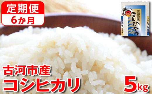【定期便 6か月】【新米】令和7年産 古河市産コシヒカリ 5kg | 米 こめ コメ 5キロ 定期便 精米 こしひかり 単一米 国産 古河市産 茨城県産 贈答 贈り物 プレゼント 茨城県 古河市 直送 農家直送 産地直送 送料無料 _DP35