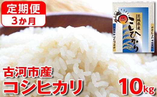【定期便 3か月】【新米】令和7年産 古河市産コシヒカリ 10kg（5kg×2袋）｜米 コメ こめ ごはん ご飯 ゴハン 白飯 単一米 国産 コシヒカリ こしひかり 10kg 定期便 3ヶ月 3回 茨城県 古河市_DP43