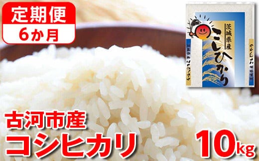 【定期便 6か月】【新米】令和7年産 古河市産コシヒカリ 10kg（5kg×2袋）｜米 コメ こめ ごはん ご飯 ゴハン 白飯 単一米 国産 コシヒカリ こしひかり 10kg 定期便 6ヶ月 6回 茨城県 古河市_DP44