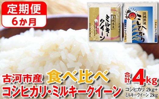 【定期便 6か月】【新米】令和7年産 古河市のお米食べ比べ コシヒカリ・ミルキークイーン 2kg×2種類｜米 コメ こめ ごはん ご飯 ゴハン 白飯 単一米 国産 コシヒカリ こしひかり ミルキークイーン 食べ比べ 2kg×2 4kg 定期便 6ヶ月 6回 茨城県 古河市_DP50