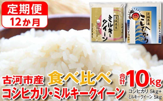 【定期便 12か月】【新米】令和7年産 古河市のお米食べ比べ コシヒカリ・ミルキークイーン 5kg×2種類｜米 コメ こめ ごはん ご飯 ゴハン 白飯 単一米 国産 コシヒカリ こしひかり ミルキークイーン 食べ比べ 5kg×2 10kg 定期便 12ヶ月 12回 1年_DP54