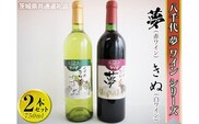 八千代夢ワインシリーズ　夢（赤）・きぬ（白）2本セット【茨城県共通返礼品・八千代町】 ※着日指定不可※沖縄県への配送不可｜お酒 洋酒 瓶 1.5L_CY05