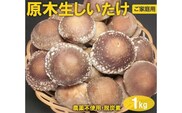 原木生しいたけ 1kg 厚肉品 ご家庭用 贈答用 農薬不使用 脱炭素 ※離島への配送不可 _DR03