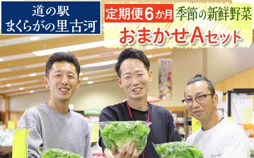 【定期便6か月】道の駅まくらがの里古河 季節の新鮮野菜おまかせAセット ※北海道・沖縄・離島への配送不可 | 野菜 詰合せ 詰め合わせ セット アソート 新鮮 道の駅 人気 ギフト 贈答 贈り物 プレゼント お中元 お歳暮 茨城県 古河市 直送 産地直送 _BQ07