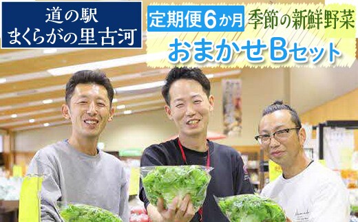 【定期便6か月】道の駅まくらがの里古河 季節の新鮮野菜おまかせBセット ※北海道・沖縄・離島への配送不可 | 野菜 詰合せ 詰め合わせ セット アソート 新鮮 道の駅 人気 ギフト 贈答 贈り物 プレゼント お中元 お歳暮 茨城県 古河市 直送 産地直送 _BQ08
