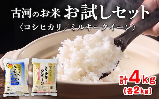 【新米】古河のお米お試しセット（コシヒカリ・ミルキークイーン各2kg） 米 こめ コメ 4キロ 精米 食べ比べ 食べくらべ こしひかり コシヒカリ ミルキークイーン みるきーくいーん 古河市産 茨城県産 贈答 贈り物 プレゼント 茨城県 古河市 直送 農家直送 産地直送 送料無料 ※2026年9月～発送 _DP13