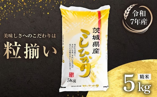 【最短7日発送】精米 コシヒカリ 5kg 茨城県下妻市産 【 お米 米 白米 ご飯 こめ コシヒカリ 令和7年産 茨城県産 】