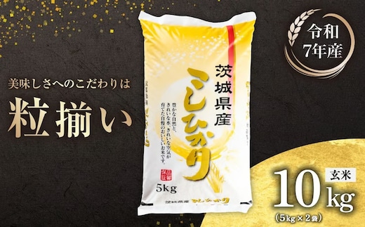 【最短7日発送】玄米 コシヒカリ 10kg 茨城県下妻市産 【 お米 米 ご飯 こめ コシヒカリ 令和7年産 茨城県産 】