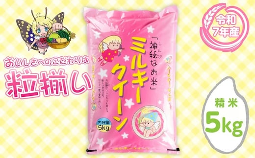 【9-10月発送】精米 ミルキークイーン 5kg 茨城県下妻市産 【 新米 お米 米 白米 ご飯 こめ ミルキークイーン 令和8年産 茨城県産 】