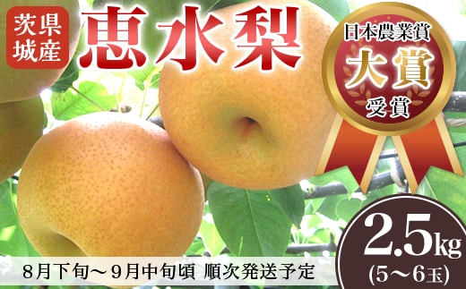 【 第１回全国梨選手権 最高金賞受賞‼ 】茨城県産 「 恵水 」 梨 約5kg 【 2026年8月下旬～9月中旬にかけて発送予定 】【 梨 恵水 なし フルーツ 果物 秋の味覚 デザート 茨城県産 甘い 選手権 最高金賞 】