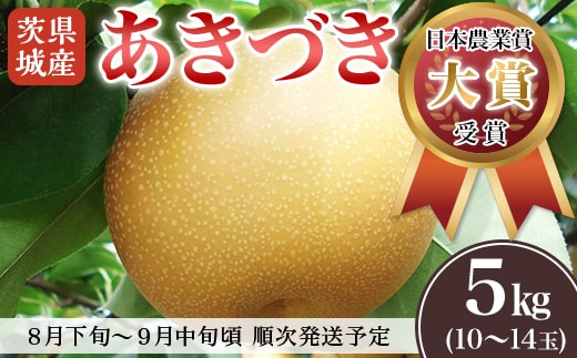 【先行予約】茨城県産「あきづき」約5kg【2026年8月下旬～9月中旬にかけて発送予定】【 梨 果物 くだもの フルーツ 国産 季節限定 人気 贈り物 お取り寄せ デザート 】