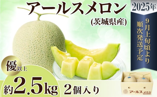 【先行予約】茨城県産アールスメロン約2.5kg（2個）【2026年9月上旬～10月上旬ごろ発送予定】【 国産メロン 茨城県産メロン メロンの王様 高級メロン めろん 果物 くだもの フルーツ 季節限定 人気 贈り物 お取り寄せ プレゼント 厳選 デザート マスクメロン ムスク マスク 】