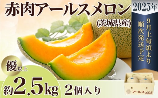 【先行予約】茨城県産アールスメロン「赤」約2.5kg（2個）【2026年9月上旬～10月上旬ごろ発送予定】【 国産メロン 茨城県産メロン メロンの王様 高級メロン めろん 果物 くだもの フルーツ 季節限定 人気 贈り物 お取り寄せ プレゼント 厳選 デザート マスクメロン ムスク マスク 】