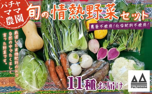 農園自慢の情熱野菜セット（11品）【 やさいセット 野菜詰合せ 野菜詰め合わせ 農園 おまかせ おまかせセット 】