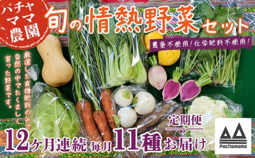 【12ヶ月連続お届け】農園自慢の情熱野菜セット（11品）【野菜 詰め合わせ お任せ 季節物 定期便 セット 山芋 パセリ わさび菜 ポップコーン かぶ 人参 里芋 たまねぎ 玉ねぎ ルッコラ ほうれん草 春菊 大根 芽キャベツ レタス じゃがいも さつまいも とうもろこし そら豆 枝豆 パクチー ビーツ ほうれん草 キャベツ ピーマン なすトマト かぼちゃ】