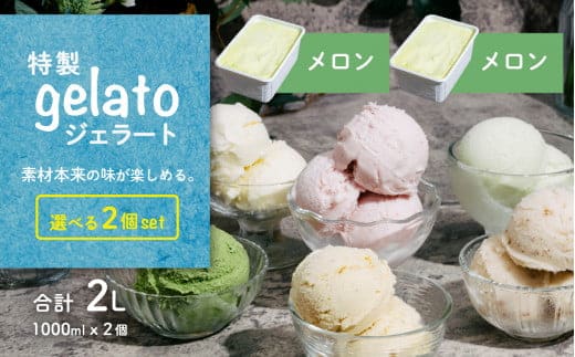 選べる特製ジェラート 1L x 2個 [メロン] [メロン] 【アイス ジェラート アイスクリーム デザート スイーツ 組み合わせ自由 業務用 バルク】