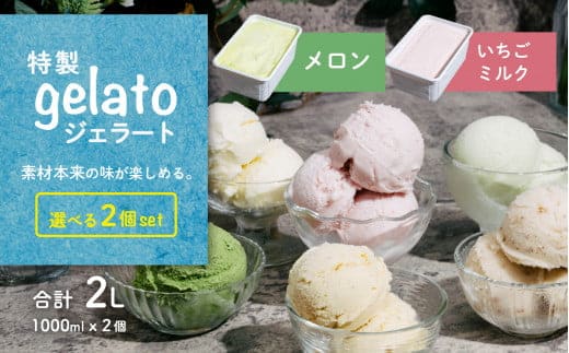 選べる特製ジェラート 1L x 2個 [メロン] [いちごミルク] 【アイス ジェラート アイスクリーム デザート スイーツ 組み合わせ自由 業務用 バルク】