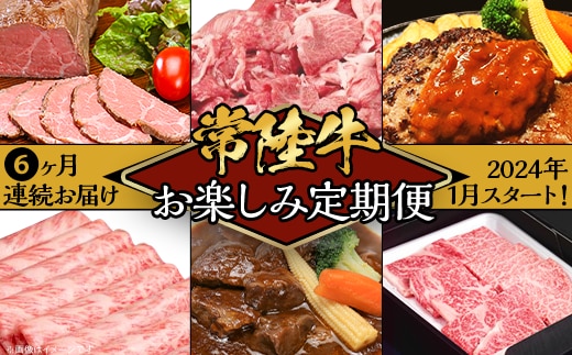 【定期便】【全6回】常陸牛お楽しみ定期便（6ヶ月連続でお届け）【常陸牛 和牛 牛肉 定期便 ハンバーグ 国産 贅沢 6か月 6ヶ月 牛 肉 常陸】
