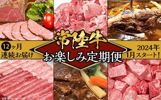 【定期便】【全12回】常陸牛お楽しみ定期便（12ヶ月連続でお届け）【常陸牛 和牛 牛肉 定期便 ハンバーグ 国産 贅沢 6か月 6ヶ月 牛 肉 常陸】