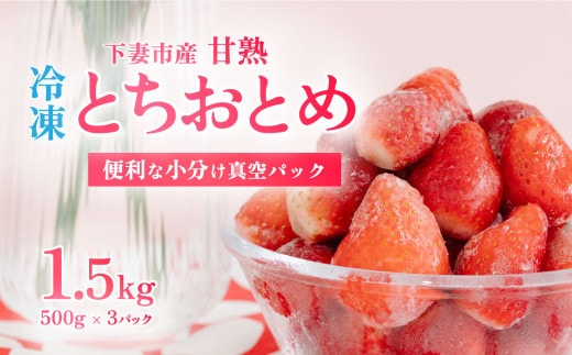 【先行予約】【訳あり】 冷凍いちご 1.5kg (500g x 3) 甘熟 完熟【2026年4月ごろ発送予定】【凍眠冷凍】 Ben‘ｓ Berry 【いちご イチゴ 苺 とちおとめ 冷凍いちご 便利 甘熟 完熟 甘い ストロベリー 果物 フルーツ】