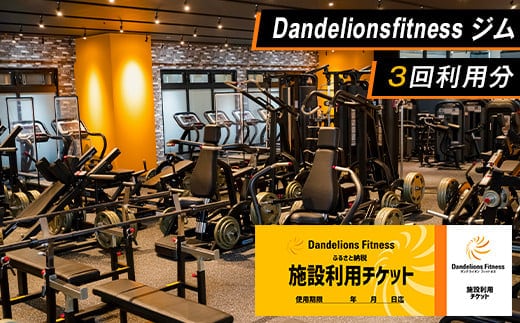 ジム利用チケット×3回（Dandelionsfitness）【 利用券 体験 チケット トレーニング 筋トレ 健康 スポーツ ダイエット 】