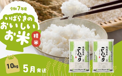 【5月発送】コシヒカリ 10kg (5kg x 2袋) 令和7年産 白米 精米 茨城県 下妻市 お米 米