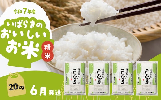 【6月発送】コシヒカリ 20kg (5kg x 4袋) 令和7年産 白米 精米 茨城県 下妻市 お米 米