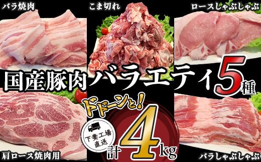 57-3国産豚肉バラエティ5種セット4kg（小分け真空包装）【下妻工場直送】