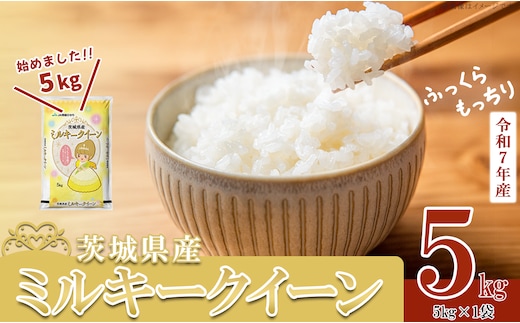 【 期間限定 】5kg 8,500円！【 6月出荷分 】 令和7年産 茨城県産 ミルキークイーン 5kg ( 5kg × 1袋 )【 米 お米 白米 茨城県産 ごはん こめ 国産 ミルキークイーン ふっくら もっちり 5kg 】