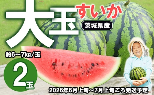 【先行予約】茨城県産大玉すいか2玉セット（約6～7kg/玉）【2026年6月上旬～7月上旬ごろ発送予定】【 スイカ すいか 西瓜 果物 くだもの フルーツ 国産 季節限定 人気 贈り物 お取り寄せ プレゼント 厳選 デザート 】