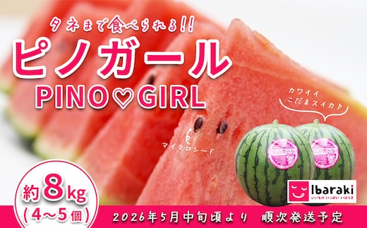 【先行予約】茨城県産ピノガール約8kg（4～5個）【2026年5月中旬～6月中旬ごろ発送予定】【 スイカ 西瓜 果物 くだもの フルーツ 国産 季節限定 人気 贈り物 お取り寄せ プレゼント 厳選 デザート 】