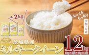 【 先行予約 】【 1月出荷分 】 令和7年産 茨城県産 ミルキークイーン 12kg（ 5kg × 2袋 ＋ 2kg × 1袋 ）【 米 お米 白米 茨城県産 ごはん こめ 国産 ミルキークイーン ふっくら もっちり 12kg 10kg 2kg 】