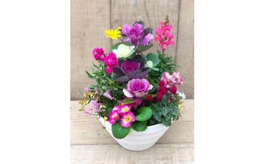 生産農場直送！季節の寄せ植え