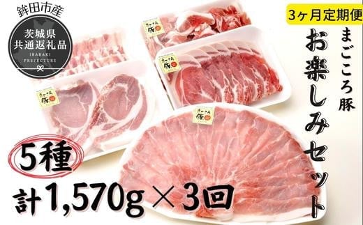 【3ヶ月定期便】まごころ豚 お楽しみセット（茨城県共通返礼品・鉾田市産）