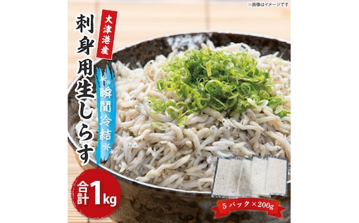 【訳あり】瞬間冷結！刺身用生しらす【大津港産】（AA212）