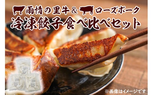 雨情の里牛・ローズポーク餃子セット【国産 ブランド牛 ぎょうざ ギョウザ 食べ比べ】(BL208)