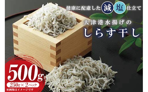 AS205 大津港水揚げのしらす干し 500g(250ｇx２パック)