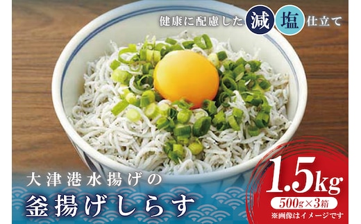 大津港水揚げの釜揚げしらす 1.5kg(500g×3箱) (AS210)