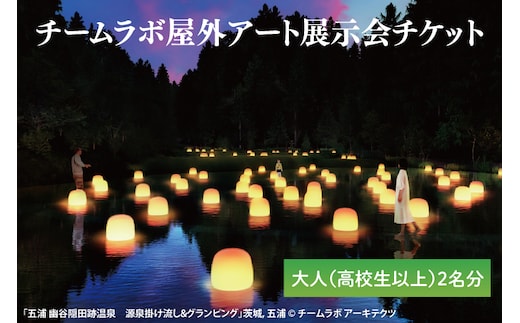 チームラボ屋外アート展示会チケット大人（高校生以上）2名分(CJ106)
