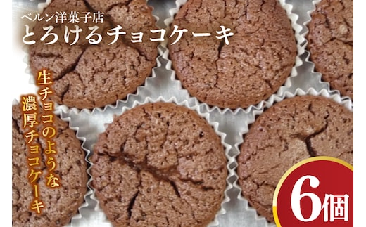 とろけるチョコケーキ【チョコレート 生チョコ 濃厚 おやつ プレゼント】(CK203)