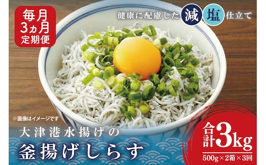 大津港水揚げの釜揚げしらす＜3ヶ月定期便＞＜毎月＞ 1kg×3回【海鮮 魚介類 しらす シラス ご飯のお供 たっぷり お手頃 個包装】(AS211)