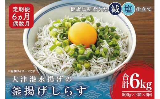 大津港水揚げの釜揚げしらす＜6ヶ月定期便＞＜2ヶ月に１回偶数月発送＞ 1kg×6回【海鮮 魚介類 しらす シラス ご飯のお供 たっぷり お手頃 個包装】(AS214)