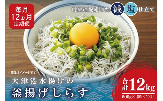 大津港水揚げの釜揚げしらす＜12ヶ月定期便＞＜毎月＞ 1kg×12回【海鮮 魚介類 しらす シラス ご飯のお供 たっぷり お手頃 個包装】(AS215)